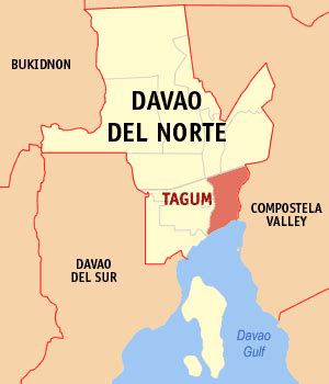 cities in davao del norte